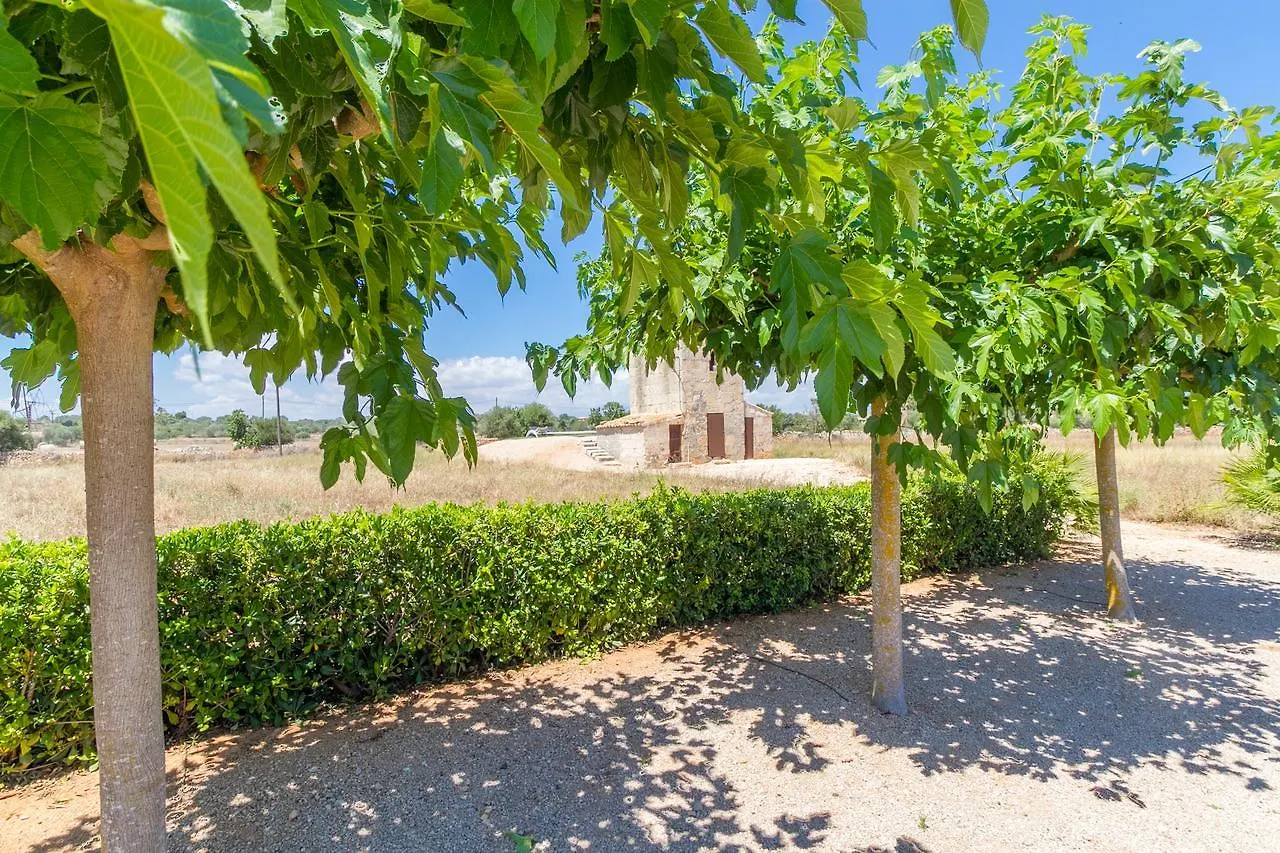 Hébergement de vacances Villa Finca Loft Can Moreno Es Trenc à Ses Salines